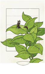 Greeting Card -2 way Butterfly