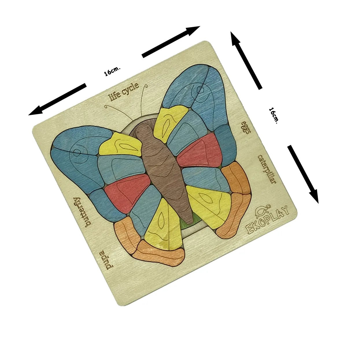 Ekoplay’s Life Cycle of a Butterfly