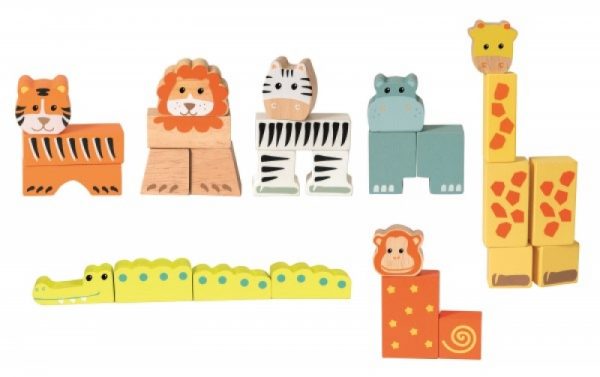 ANIMAL BLOCKS IN A CASE