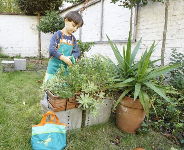 EGMONT GARDEN SET FROG