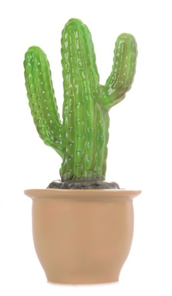 Heico Lamp – Finger Cactus in Pot