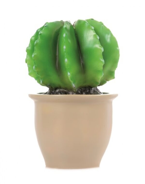 Heico Lamp – Finger Cactus in Pot