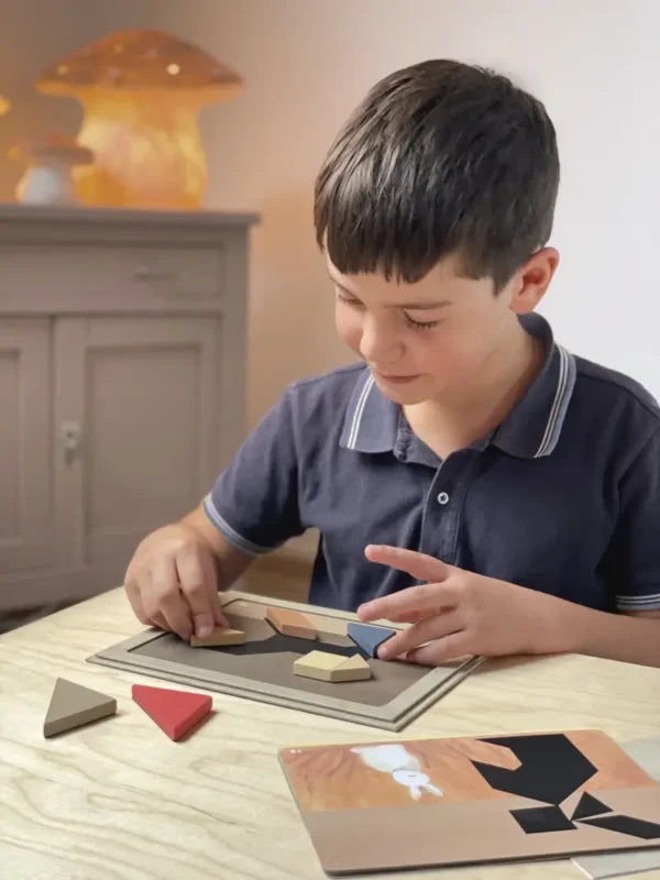 Egmont Toys – Magnetic Tangram