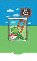 Greeting Card -2 way Frog
