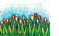 Greeting Card -2 way Tulip