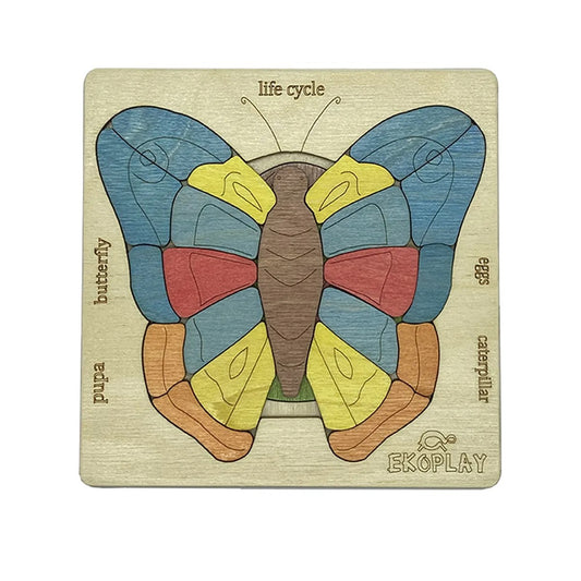 Ekoplay’s Life Cycle of a Butterfly