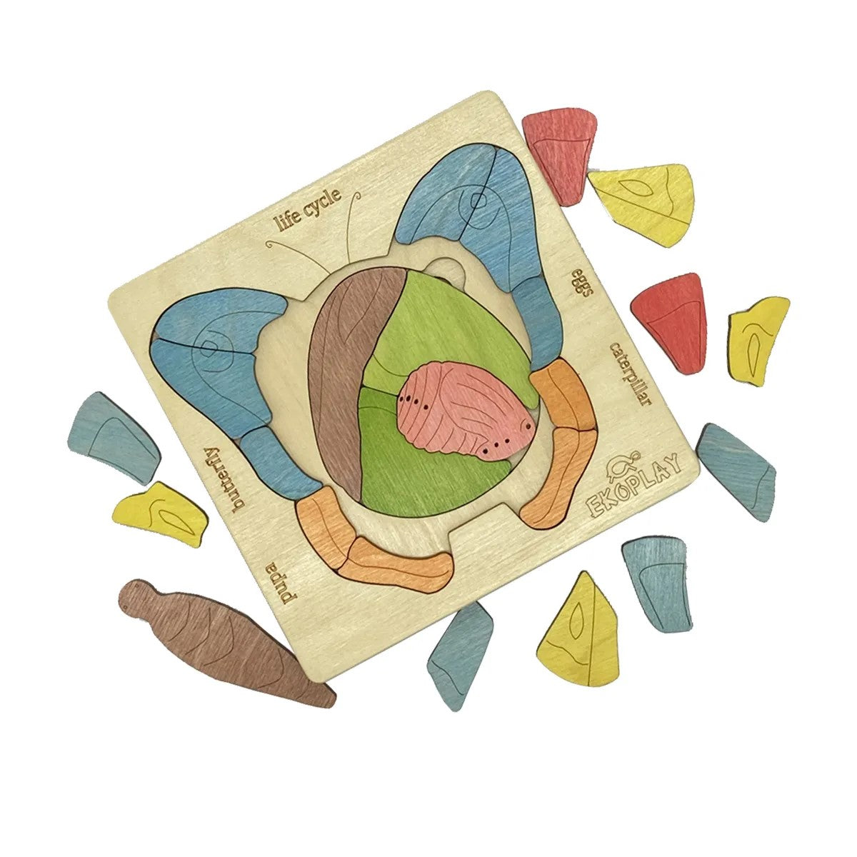 Ekoplay’s Life Cycle of a Butterfly