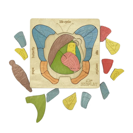 Ekoplay’s Life Cycle of a Butterfly
