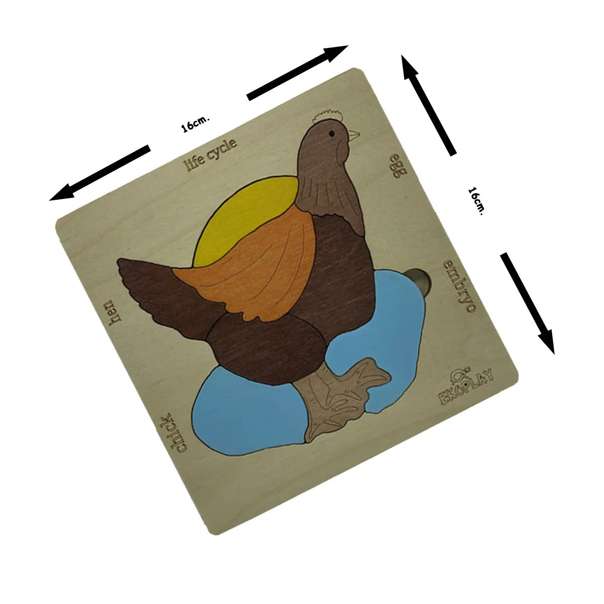 Ekoplay’s Life Cycle of a Chicken