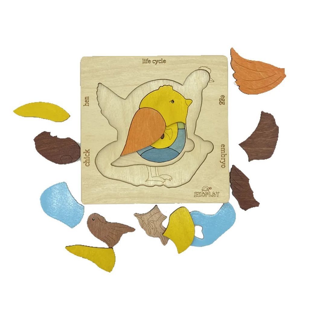 Ekoplay’s Life Cycle of a Chicken