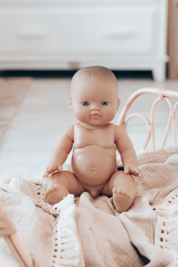 PAOLA REINA GORDIS ASIAN BOY NO HAIR- WOLF 34CM –