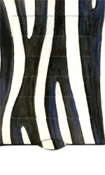 Greeting Card -2 way ZEBRA